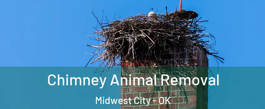 Chimney Animal Removal Midwest City - OK