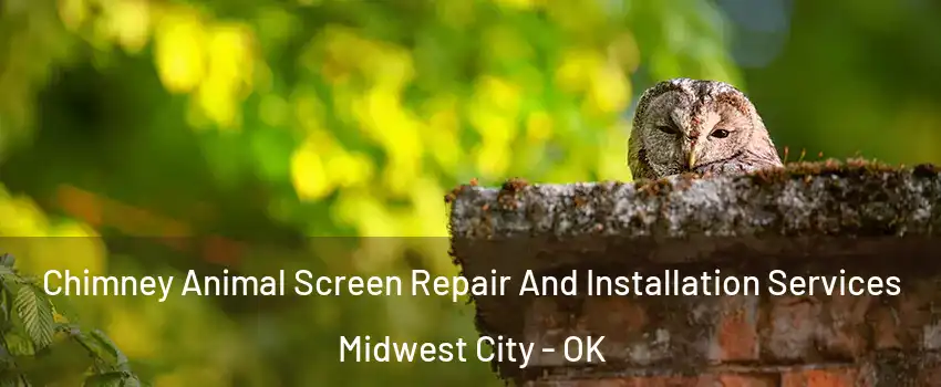  Chimney Animal Screen Repair And Installation Services Midwest City - OK