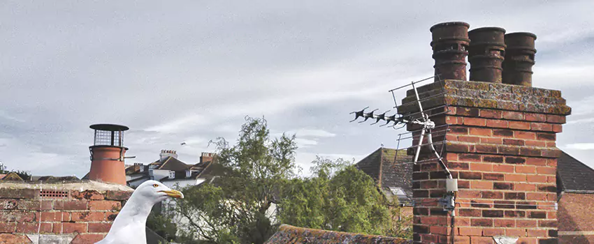 Chimney Cleaning And Restoration in Midwest City, Oklahoma